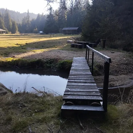 Lela Kop Kopaonik