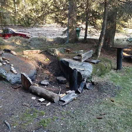 Lela Kop * Kopaonik