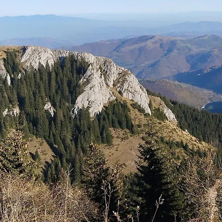 Lela Kop * Kopaonik